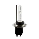 Bec Auto Xenon CARGUARD H7 4300K