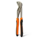 Cleste tip 