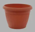 5944444014832